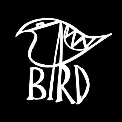 @william_street_bird profile image