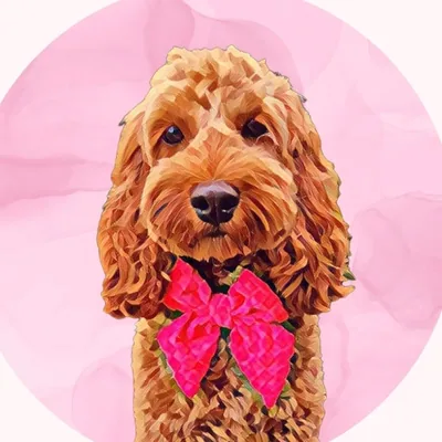 @willows_cockapoo_adventures profile image