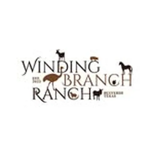 @windingbranchranch profile image
