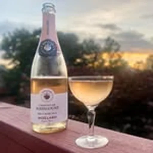 @winebinec profile image