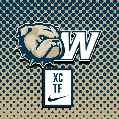 @wingatexctf profile image