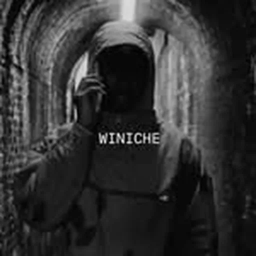 @winiche profile image