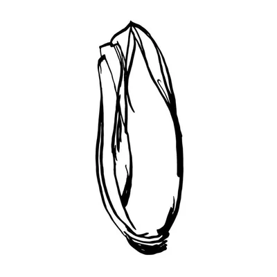 @witlof.brussels profile image
