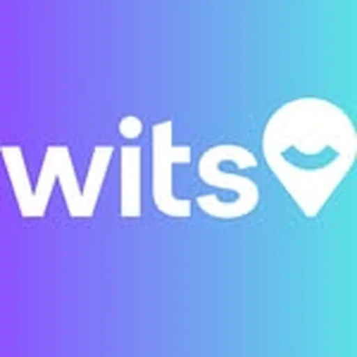 @witsummit profile image