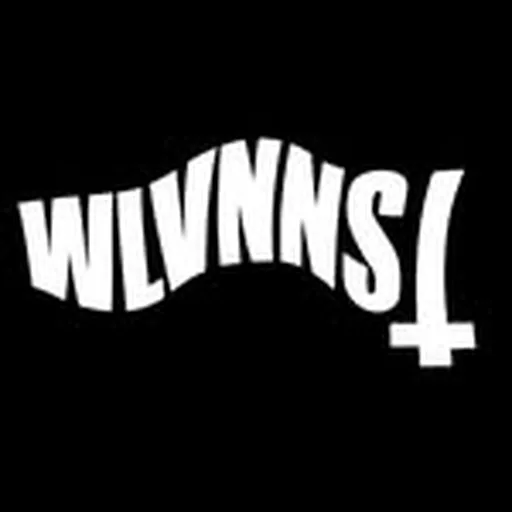 @wlvnnst profile image