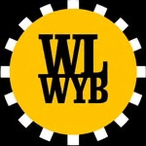 @wlwyb profile image