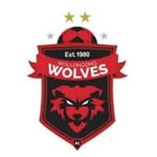 @wollongongwolves profile image