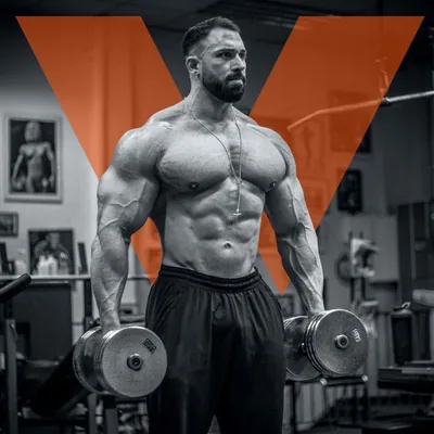 @wolterkevin profile image