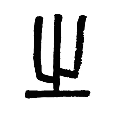 @wonderground_company profile image