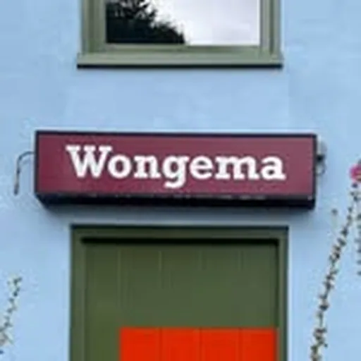 @wongemagroningen profile image