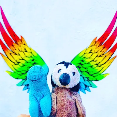 @wonkyadventures profile image