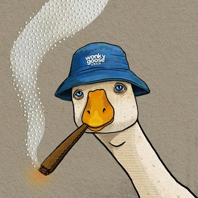 @wonkygoose profile image