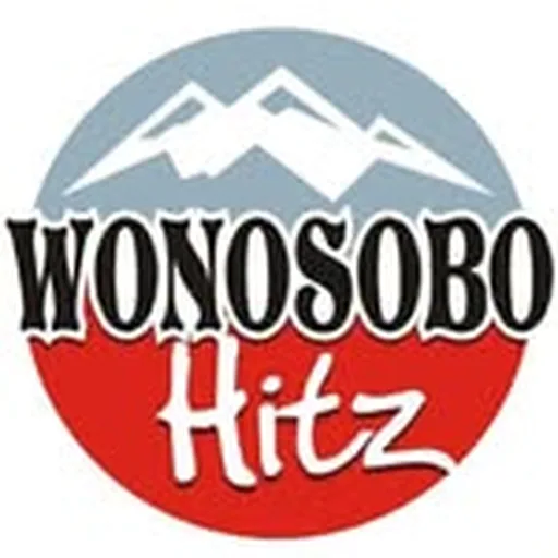 @wonosobohitz profile image