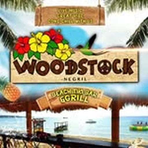 @woodstocknegril profile image