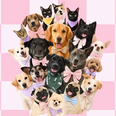 @woofandsnoots profile image