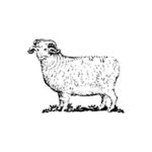 @woolrich profile image