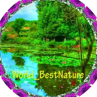 @world_bestnature profile image
