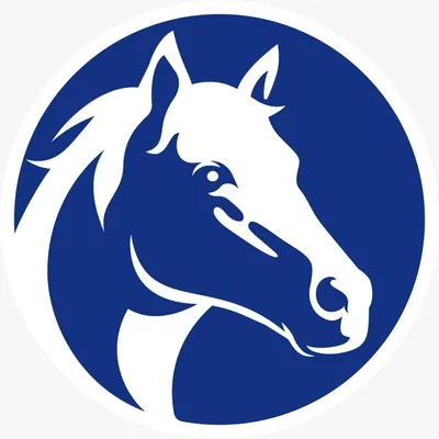 @worldhorsewelfare profile image