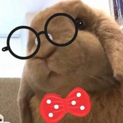 @worriedpotato profile image
