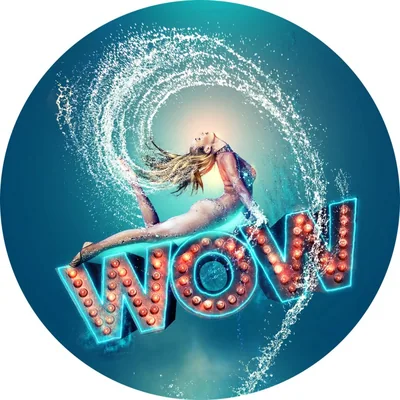 @wowshowvegas profile image