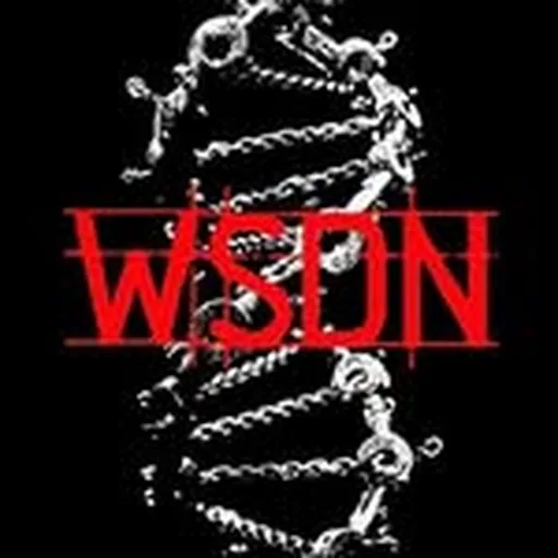 @wsdn.ofc profile image