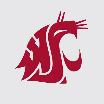 @wsupullman profile image