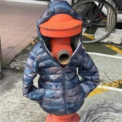 @wtfleaks profile image