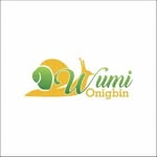 @wumi_onigbin profile image