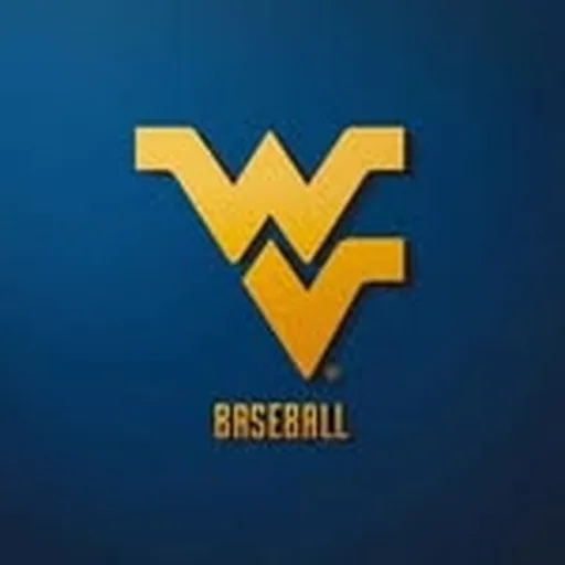 @wvubaseball profile image