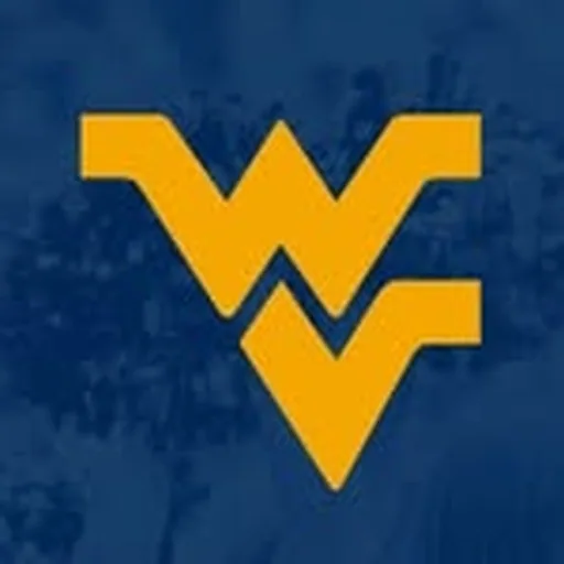 @wvudanceteam profile image