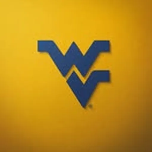 @wvusports profile image