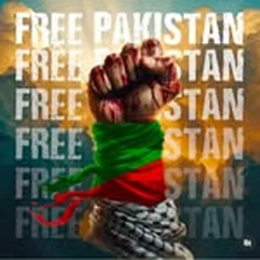 @xarnishkhan profile image