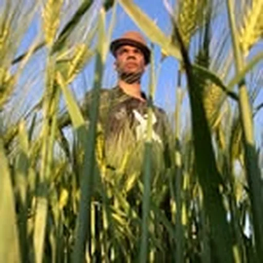 @xavibesfilms profile image