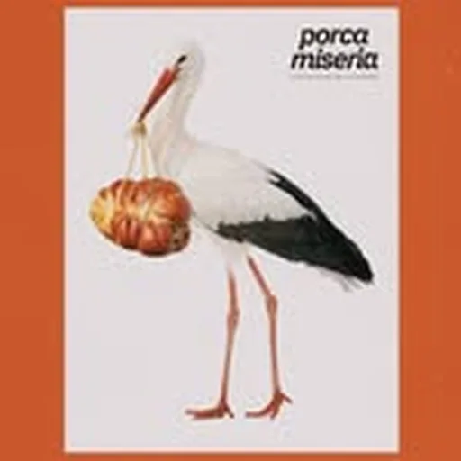 @xescreina profile image