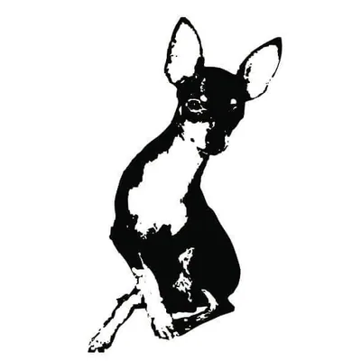 @xolaka profile image