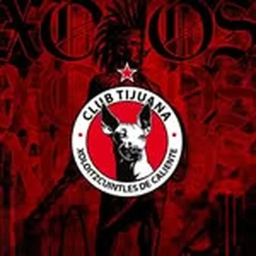 @xolos profile image