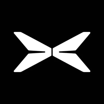 @xpeng_global profile image