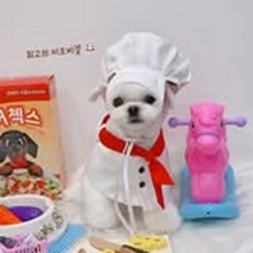 @xxsimkoongxx profile image