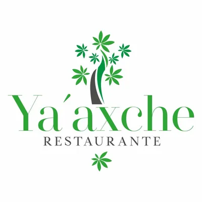 @y.aaxche profile image