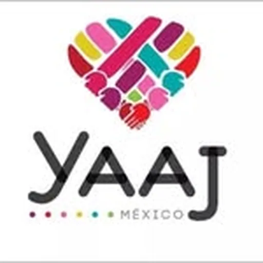 @yaajmexico profile image