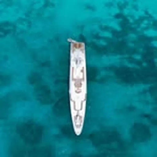@yachtsiren profile image