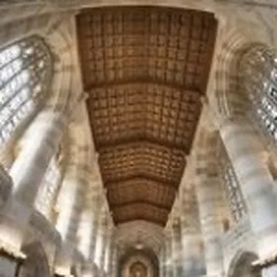 @yalelibrary profile image