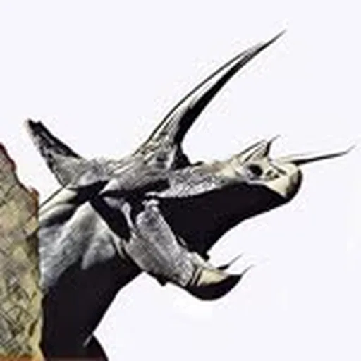@yalepeabodymuseum profile image