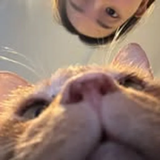 @yangggg profile image