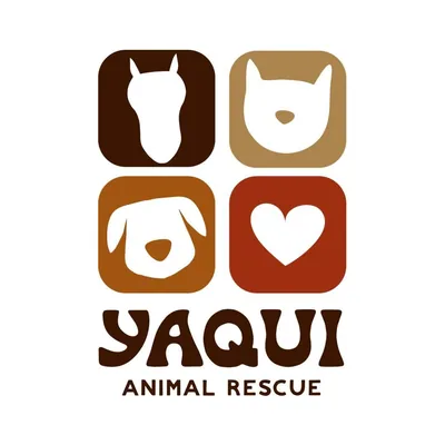 @yaquianimalrescue profile image