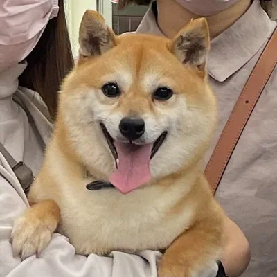 @yeoleum0910 profile image