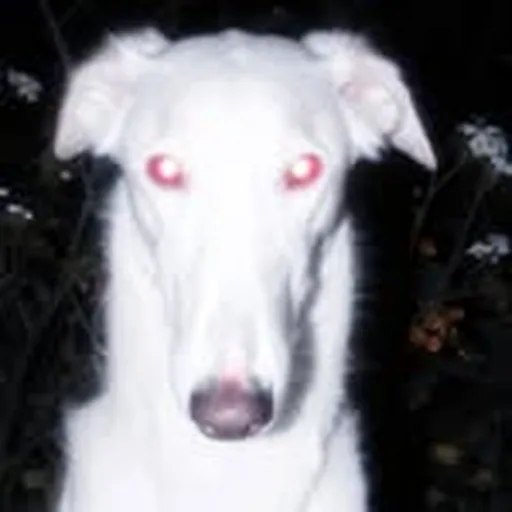 @yeraylam profile image
