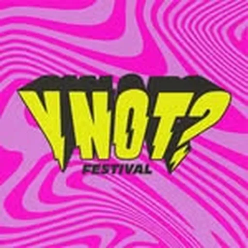 @ynotfestival profile image