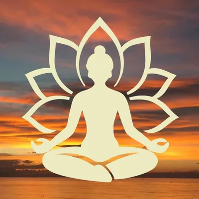@yoga.sin.filtro profile image