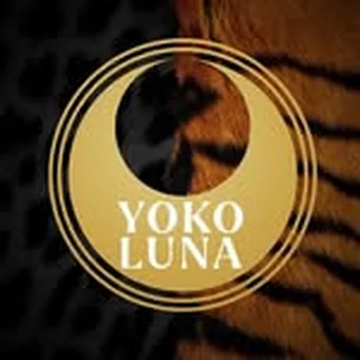 @yokolunamtl profile image